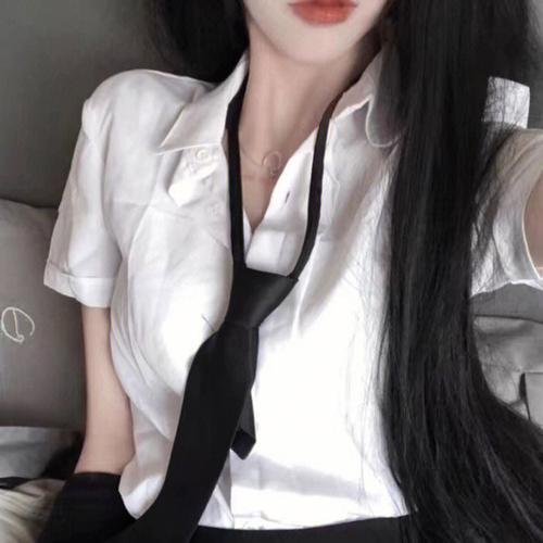 大使阁下的料理人
